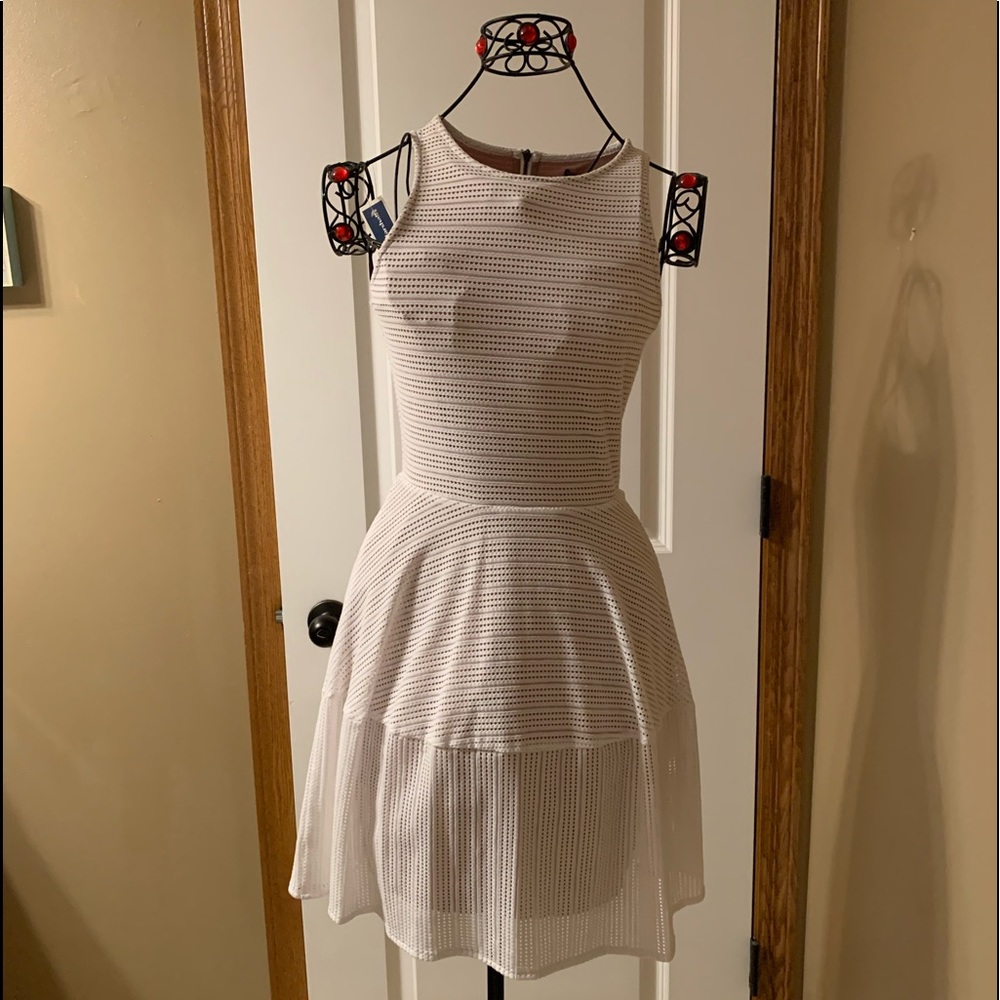 BCBG Dress
